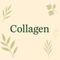 Collagen